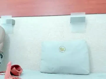 salome_morris model from cb