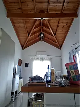 Abi_teresa model from sc