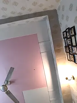 Anchal-8798 model from sc