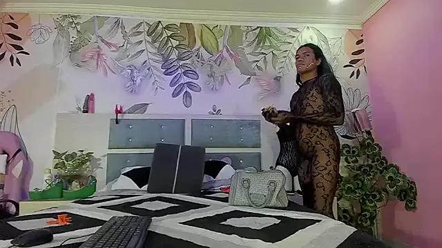 bigblacktransxxx on StripChat 