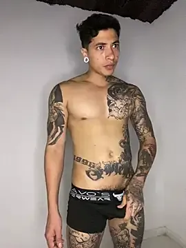 cesaar_2 model from sc