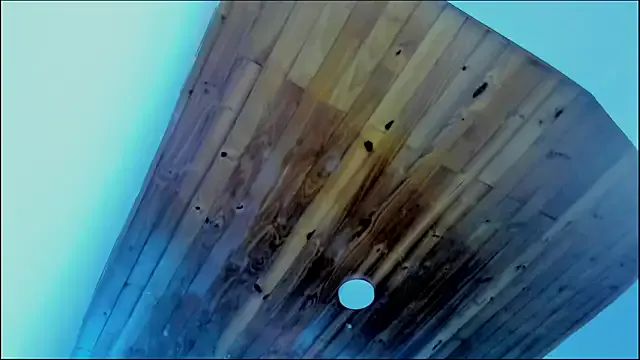 Clawdeen_Hot model from sc