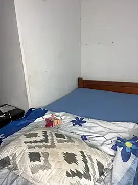 Dominicvincell model from sc