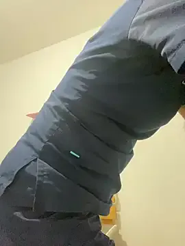 ELY_FE model from sc