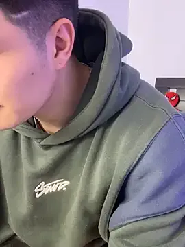 Goldenknight33 model from sc