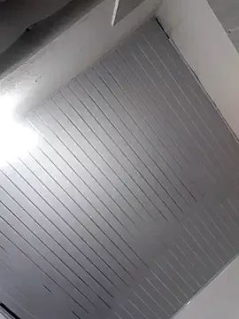 Hairy_ptt model from sc