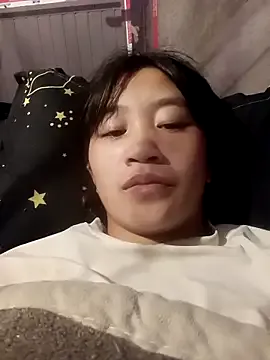 han-camx model from sc