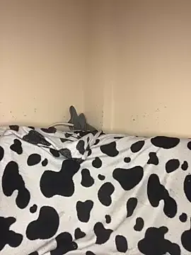 HOT17_FOXXX model from sc