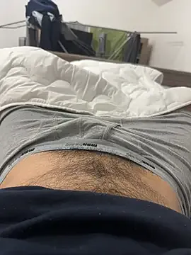 idhemo model from sc