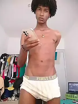 julexsw model from sc