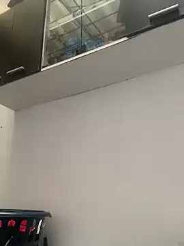 karla-hank model from sc