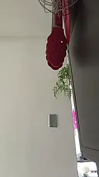 La-venus model from sc