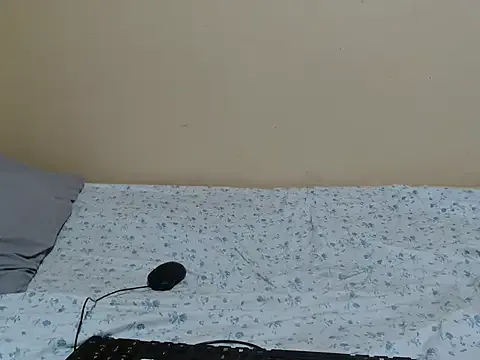 lam1523 model from sc