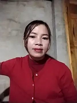 lmc-zz model from sc