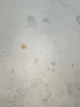 Lovely_priya1001 model from sc