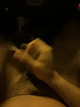 MetaDaddy model from sc