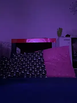 NoyaXO model from sc