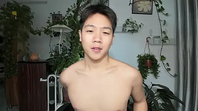 Oliver_Nl model from sc