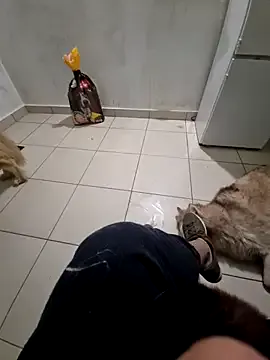 RITAEGIH model from sc