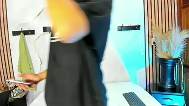 salome_mio model from sc