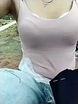 Sea-ice model from StripChat