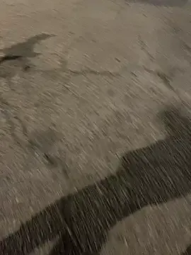 ToAnWTW model from sc