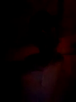 wifedesi7050 model from sc